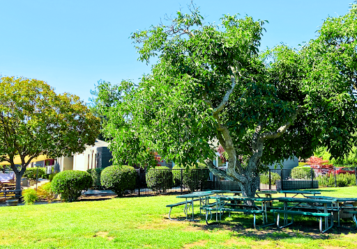 Leadways School - Visual
