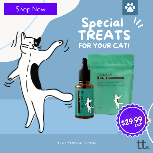 Tempo and Tails - Thumbnail