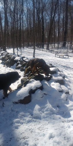 Danvers Dog Park
