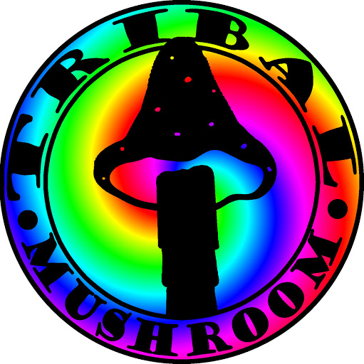 Tribal Mushroom - Thumbnail