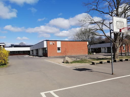 Fågelskolan - Visual