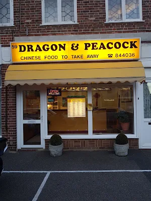 Dragon & Peacock