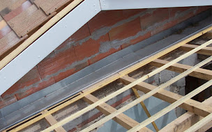 Photo n°20 de 3P Expert Nuisibles & Humidité à Albi (Couvreur)