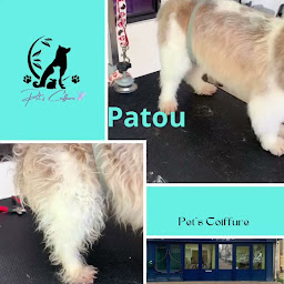 Photo n°5 de Pet’s Coiffure à Saint-Médard-de-Guizières (Toiletteur)