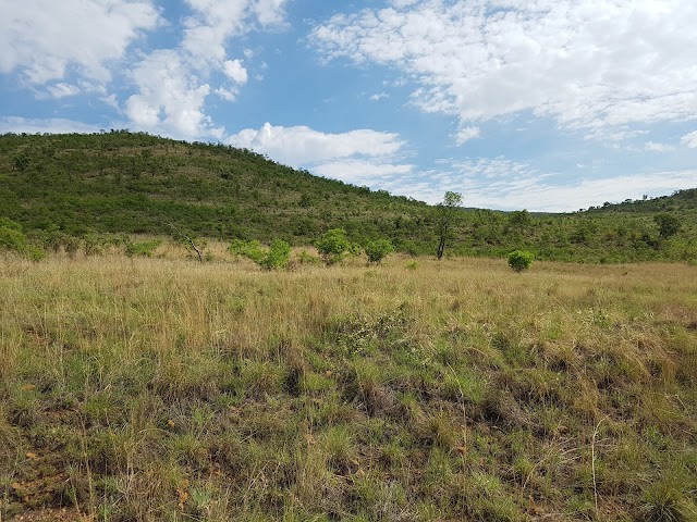Pilanesberg National Park