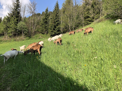 Azienda agricola Zasso - Thumbnail