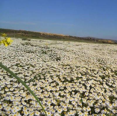 Photos of محمية تهدارت
