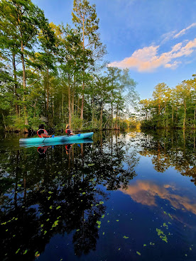 Adventure Kayak & Stand Up Paddleboard by null