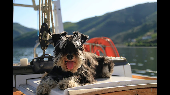 Ânima Durius by null