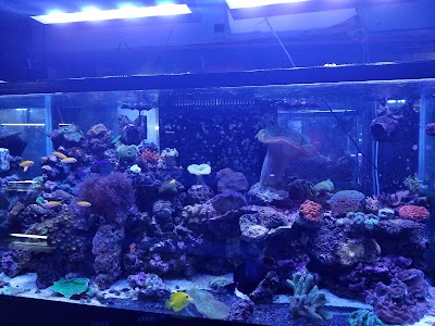 Tropical Lagoon Aquarium