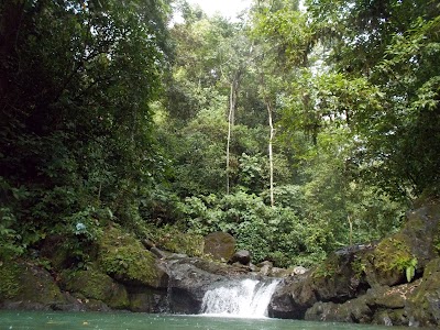 Photos of Big Bamboo Uvita