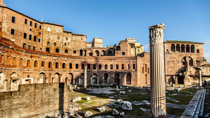 Cosmopolita Rome Colosseum, Tapestry Collection by Hilton by null