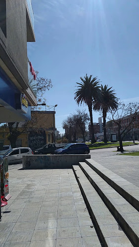 Opiniones de Grido Helado - Grido Herrera en Montevideo - Heladería