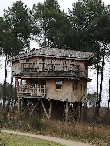 Parc aquatique Aqua Mundo Center Parcs Le Bois aux Daims - Thumbnail