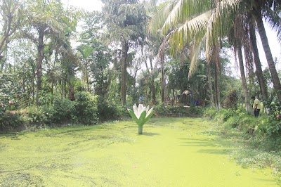 Photos of Murapara Rasel Park