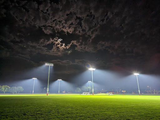 MWL Fields - Visual