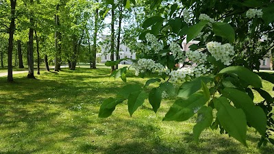 Photos of Plunge Park