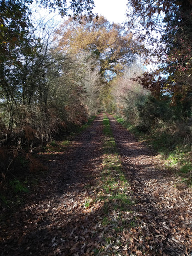 Parc du Bois Rouaud - Thumbnail