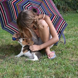 Photo n°5 de Elevage du Bray Bocage à Lachapelle-sous-Gerberoy (Éleveur de chiens)