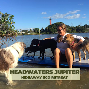 Headwaters Jupiter by null