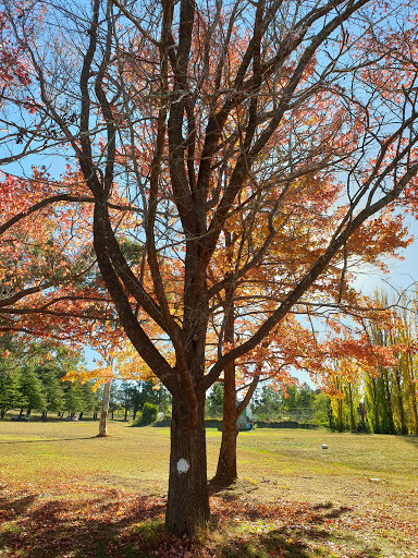Moran Reserve - Thumbnail
