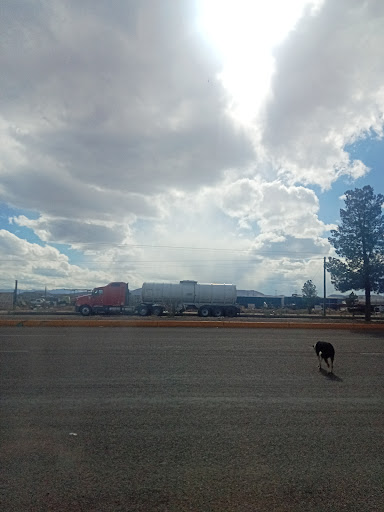 Chihuahua Desert - Thumbnail