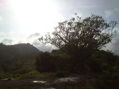 Photos of Meheni Ashramaya Dobhawela