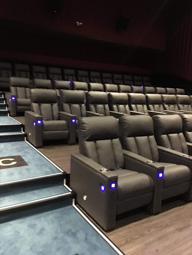 Flagship Cinemas Inc Logo