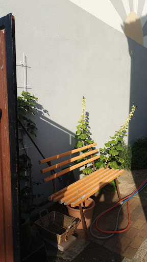 Ferienwohnung - Zur Blüte Nr. 5 - Gallery - Germany