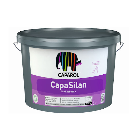 Paintshack Ltd - Visual