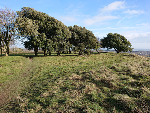 Highdown Hill - Visual