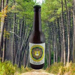 Photo n°12 de MicroBrasserie d'Austrasie à Vandoeuvre-lès-Nancy (Microbrasserie)