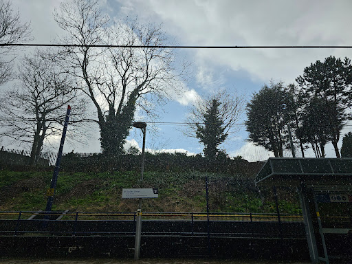Dartmouth Street - Thumbnail