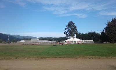 Photos of Complejo Deportivo La Granja