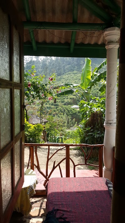 Photos of Tunnel gap Resort