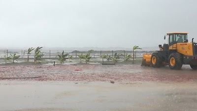 Photos of River Bank, Kalapara