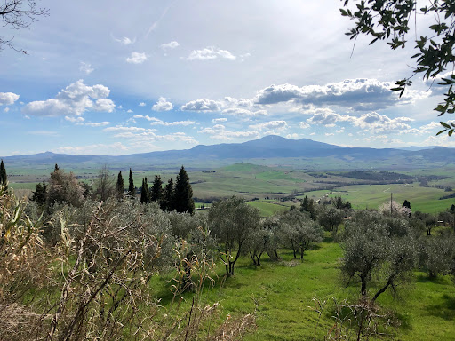 Pienza - Visual