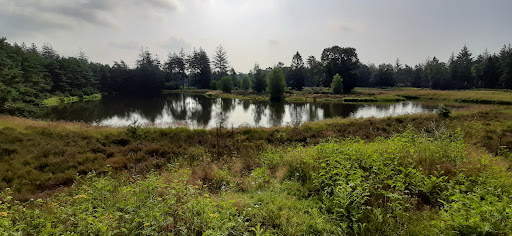 Camping 't Klooster - Thumbnail