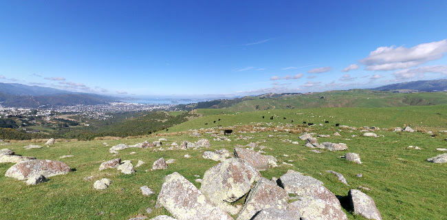 Belmont Regional Park - Wellington