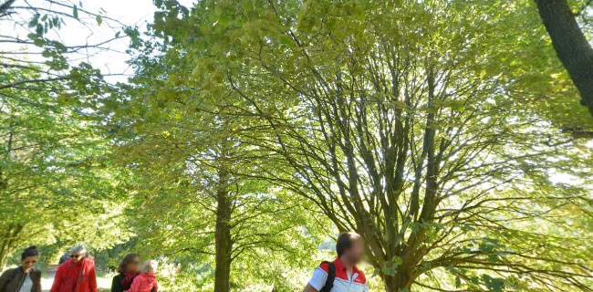 Citypark Flyers - Disc Golf telefoonnummer