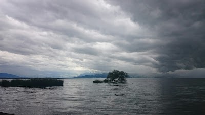 Photos of Anwaltskanzlei Feldmann