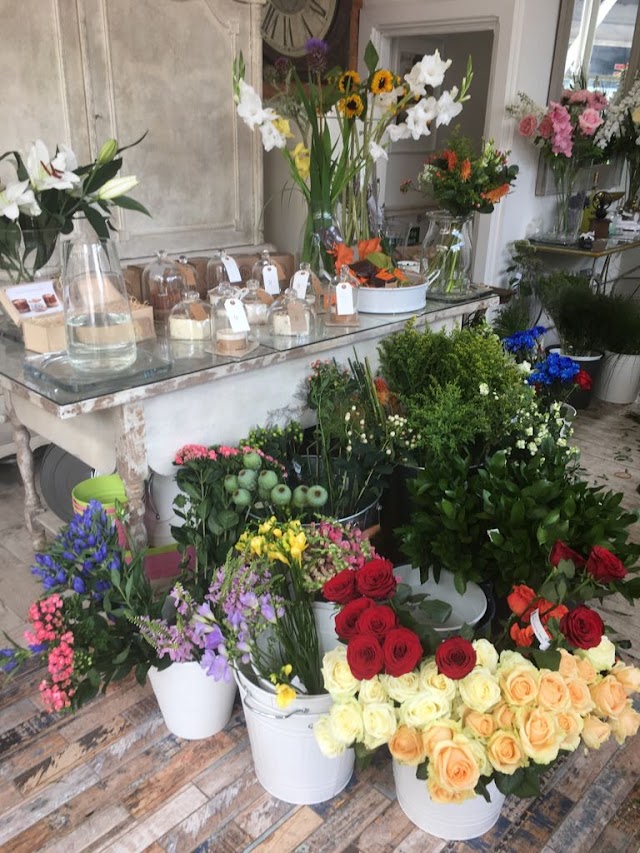 Mento Flowers and Coffee