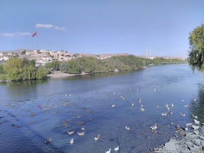 Bayrak Tepe