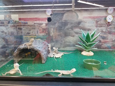 Petco