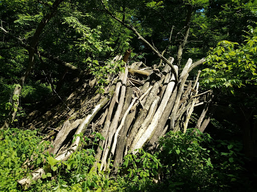 Stephens Park - Visual