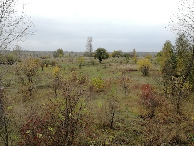 Milovice
