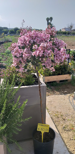 Agridipietro | Irrigazione - Fitofarmacia - Giardinaggio