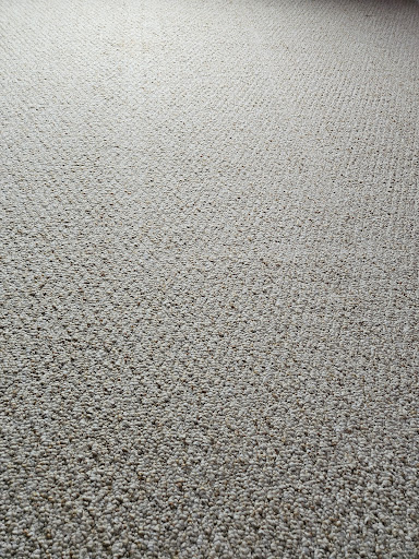 Worms Quality Carpet Care and Commercial Cleaning, LLC - Thumbnail