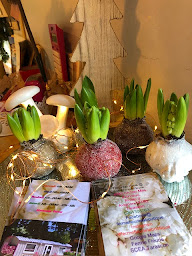 Photo n°13 de Ferme Fleurie SCEA à Tarascon (Magasin de produits de la ferme)