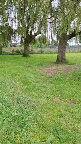 Hondenlosloopweide